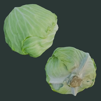 Two Fresh Green Whole Cabbage Vegetables On Dark Background With Natural Texture 3d model