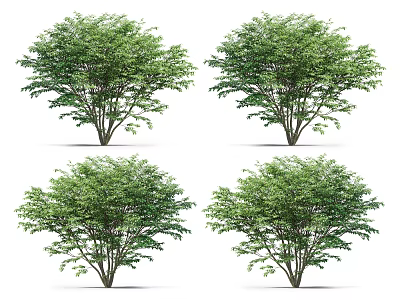 Lush Green Arbor With Dense Foliage And Natural Tree Form For Landscaping 3d model