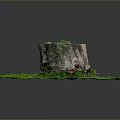 Wooden Tree Stump Surrounded By Circular Green Grass With Small Plants Growing