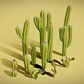 Various Cacti Plants Including Tall Columnar And Small Round Types With Pink Flowers