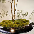 Indoor Bonsai Tree With Slender Trunks Green Leaves And Moss Covered Pot For Home Decor