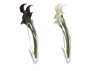 Black And White Calla Lilies In Modern Transparent Vases For Home Decor 3d model