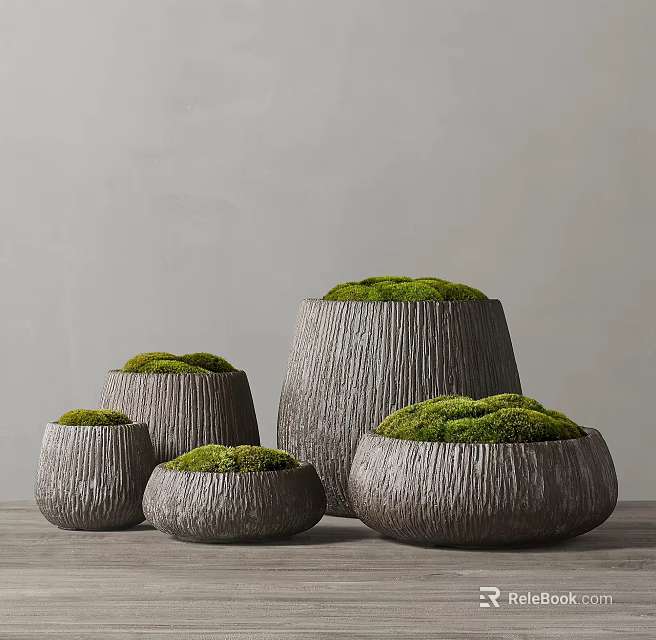 Bonsai Potted Plants In Wooden Textured Pots With Green Moss And Various Sizes 3d model 