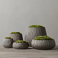 Bonsai Potted Plants In Wooden Textured Pots With Green Moss And Various Sizes