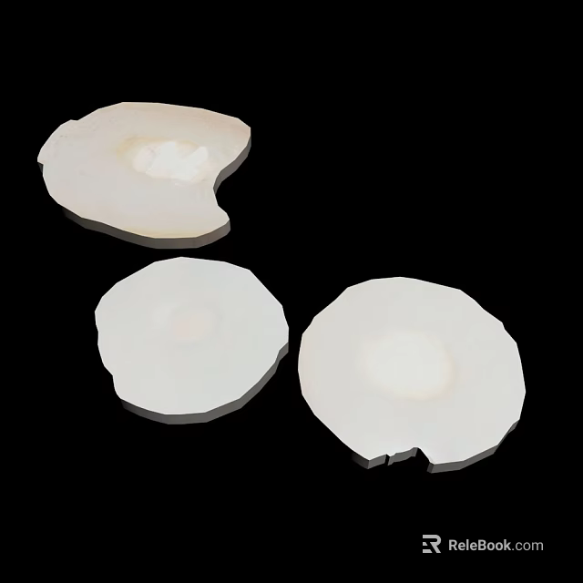 Three Fresh White Round Plant Slices on Black Background Close Up 3d model 