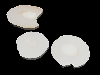 Three Fresh White Round Plant Slices on Black Background Close Up 3d model