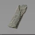 Gray Petrified Wood Stone with Natural Textured Surface on Black Background