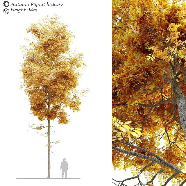 Golden Yellow Autumn Leaf Decorative Tree Ornament Combination Set For Home Decor 3d model 
