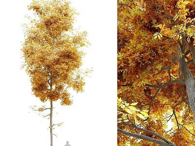 Golden Yellow Autumn Leaf Decorative Tree Ornament Combination Set For Home Decor 3d model