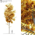 Golden Yellow Autumn Leaf Decorative Tree Ornament Combination Set For Home Decor