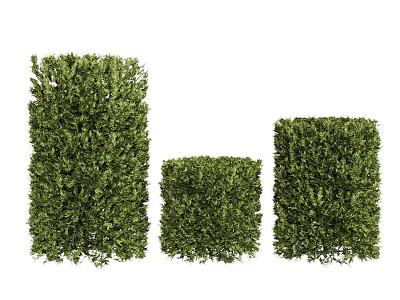 Neatly Trimmed Green Bushes In Various Sizes For Garden Landscaping 3d model
