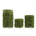 Neatly Trimmed Green Bushes In Various Sizes For Garden Landscaping