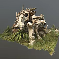 Modern Skeleton Dinosaur Skeleton 3d model