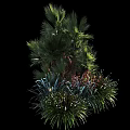 Vibrant Garden Shrub Boasting Lush Green Foliage And Red Leaf Accents