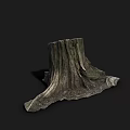 Natural Wooden Tree Stump With Rough Texture On Dark Background