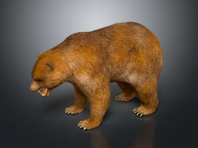 Realistic Brown Bear 3D Model Standing With Open Mouth And Sharp Teeth 3d model