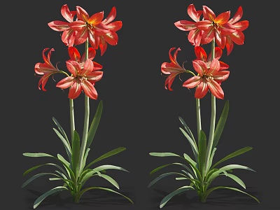 Vibrant Red Flowers With Lush Green Leaves And Stems In Twin Plants 3d model
