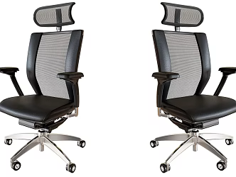 Stainless Steel Chair Office Chair Computer Chair Swivel Chair Lifting Chair Backrest Chair Mobile Chair 3d model