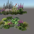 Colorful Plant Combination With Various Herbs Flowers Large Leaf Plants And Rich Colors