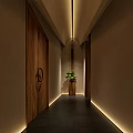 Elegant Hotel Corridor With Wooden Doors Recessed Lighting Green Plant And Dark Flooring