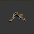 Knee Bone Leg Bone Joint PBR Model Game Model Game Item 3d model