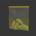 Dried Green Plants with Yellow Accents Stored in Transparent Ziplock Bag