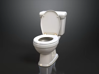 Modern White Toilet With Open Lid And Sleek Contemporary Design 3d model