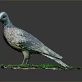 Flying Animal Pigeon Sculpture Standing on Red Base With Green Plants and Gray Background