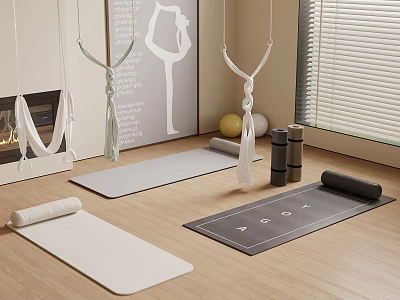 Yoga Room Interior With Multiple Mats Hammocks Exercise Ball And Equipment 3d model