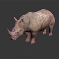 Brown Rhinoceros Standing On Smooth Surface With Reflection In Dark Background 3d model