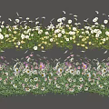 Vibrant Mixed Garden Flowers With White Pink Purple Blooms And Green Foliage