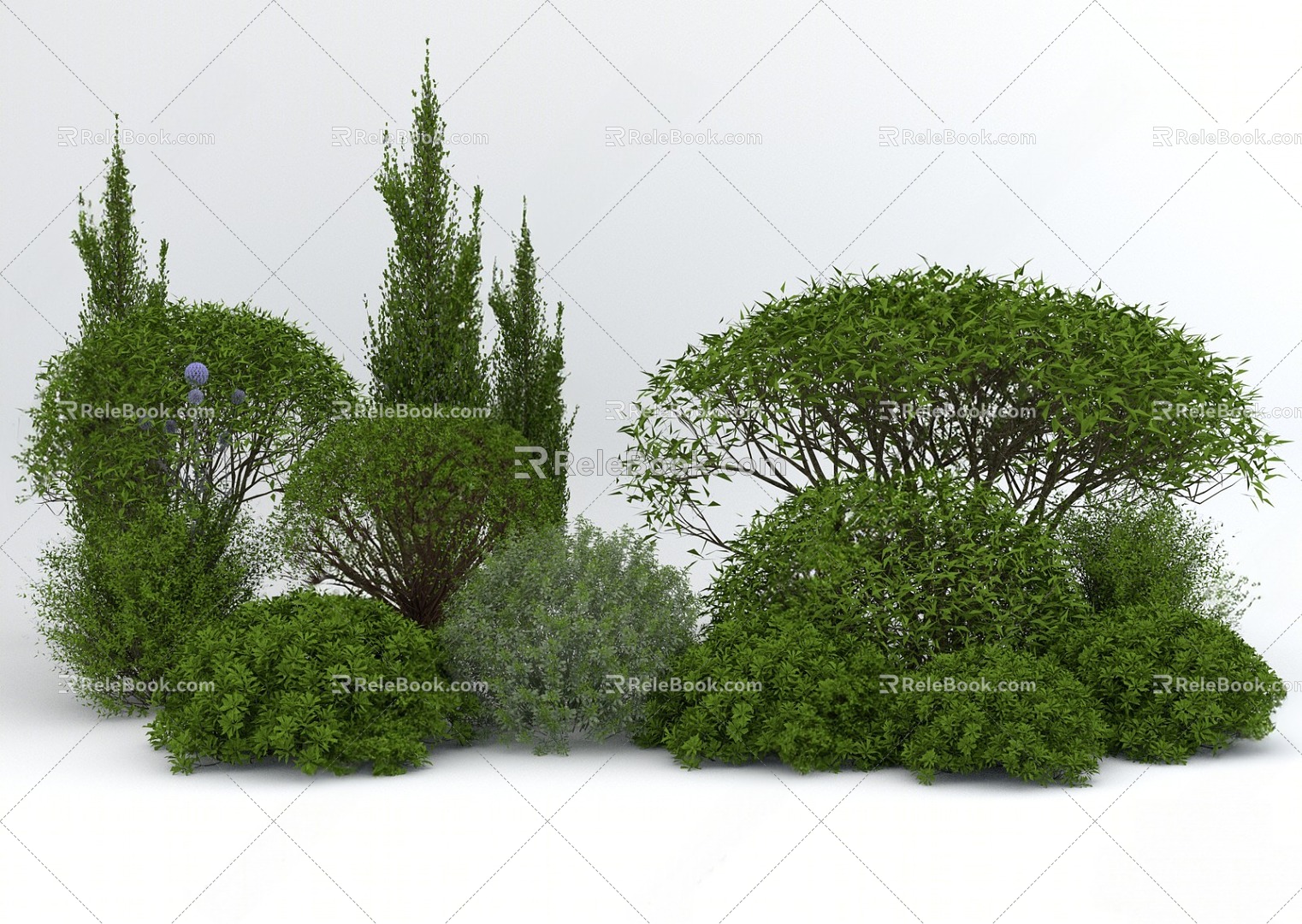 Plant combination 3d model