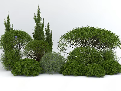 Lush Green Shrubs With Various Shapes And Sizes For Outdoor Garden Landscaping 3d model