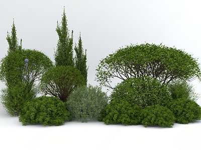 Plant combination 3d model