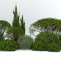 Plant combination 3d model