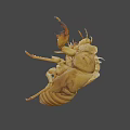 Cicada Exuvia Exoskeleton Showing Detailed Natural Structure And Yellowish Features