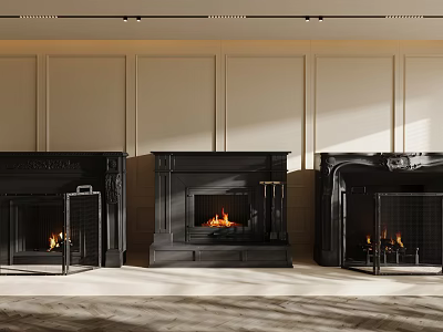 Three Black Fireplaces With Burning Fire In Sunlit Interior And Paneled Walls 3d model
