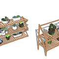 Succulent Plants Arranged on Wooden Multiple Tier Shelves with Different Varieties