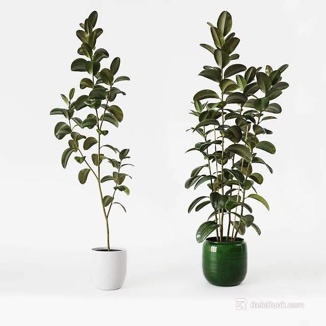 Stylish Bonsai Potted Plants with Green Leaves in White and Green Pots for Indoor Decor 3d model 