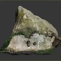 Natural Wood Stone With Green Moss Natural Texture And Color Variations