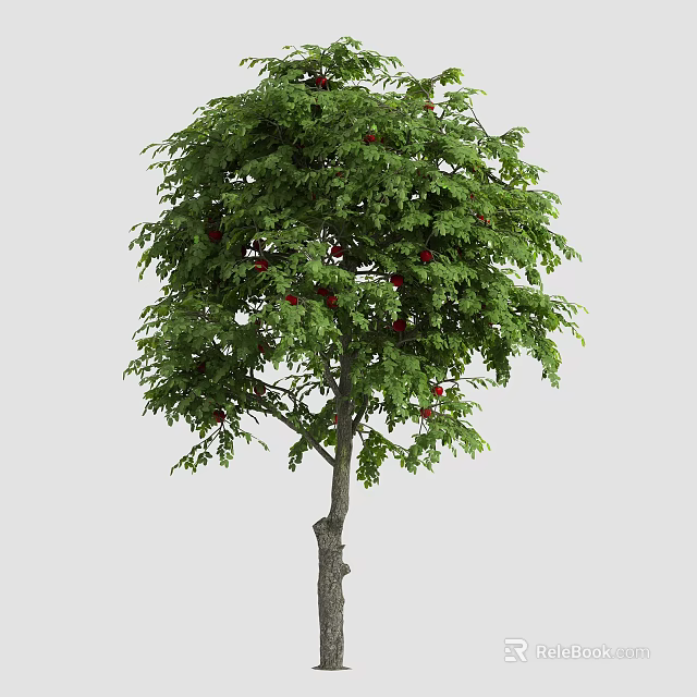 Lush Arbor With Dense Green Leaves And Bright Red Fruits 3d model 