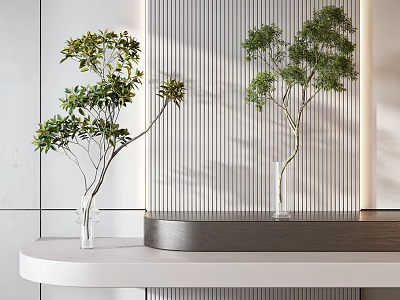 Modern Countertop Decor with Glass Vases and Fresh Green Plants 3d model