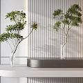 Modern Countertop Decor with Glass Vases and Fresh Green Plants