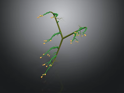 Decorative Vine Plant Structure With Green Branches Small Yellow Flowers and Buds 3d model