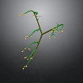 Decorative Vine Plant Structure With Green Branches Small Yellow Flowers and Buds