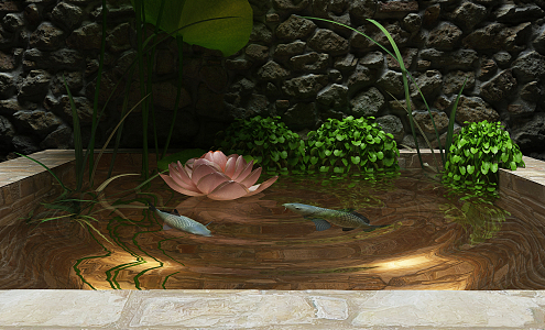 Modern Fish Pond 3d model