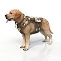 Realistic Labrador Dog Sculpture With Detailed Vest Carving And Lifelike Features