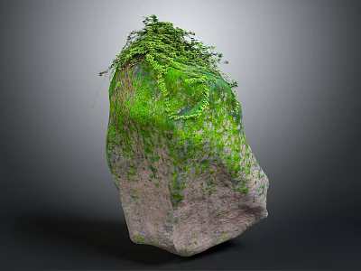 Garden Landscape Design Featuring Moss Covered Rock And Green Vines 3d model