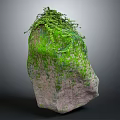 Garden Landscape Design Featuring Moss Covered Rock And Green Vines