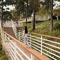 Scenic Wooden Boardwalk Surrounded by Trees and Green Grass with Woman Walking Along White Railings